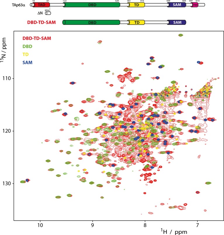 Figure 1—figure supplement 1.