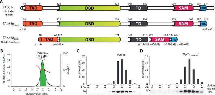 Figure 1—figure supplement 2.