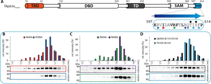 Figure 1—figure supplement 7.