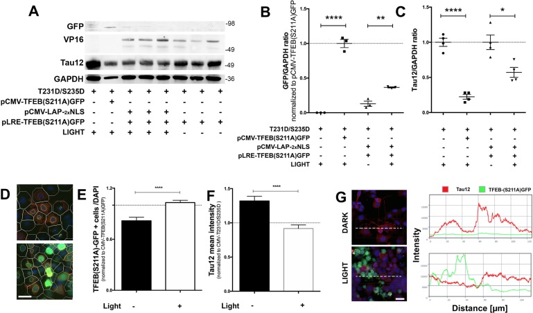 Fig 4