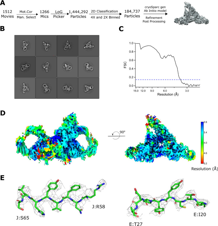 Figure 2—figure supplement 2.