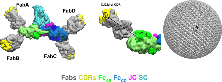 Figure 6—figure supplement 1.