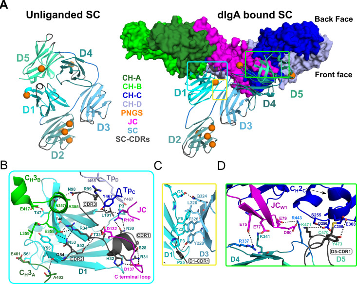 Figure 4.