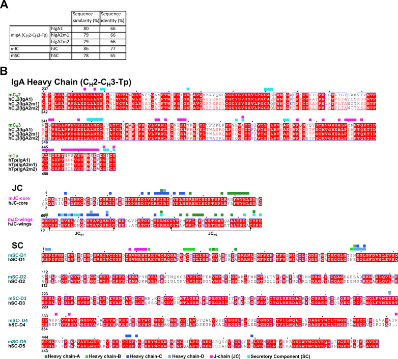 Figure 1—figure supplement 1.