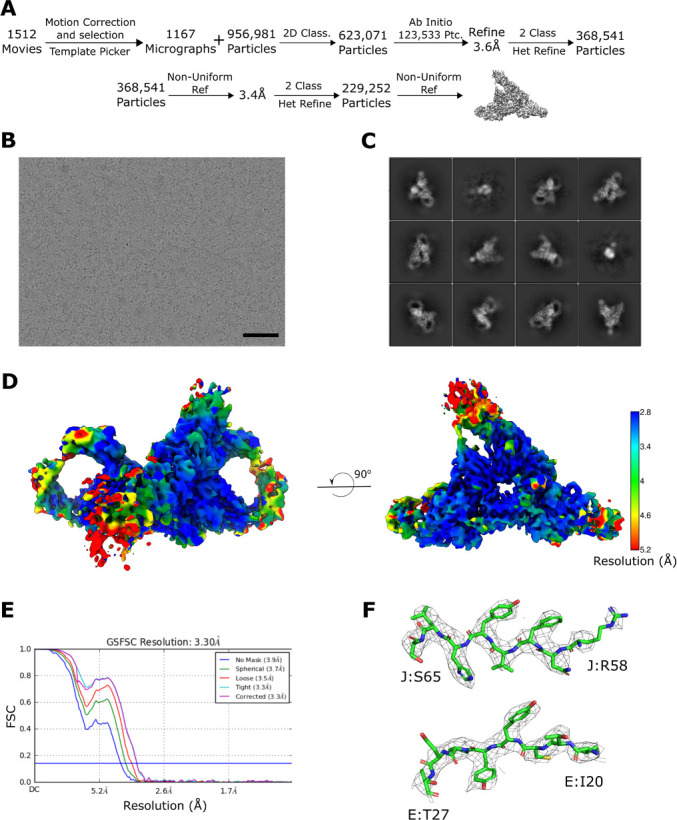 Figure 2—figure supplement 1.