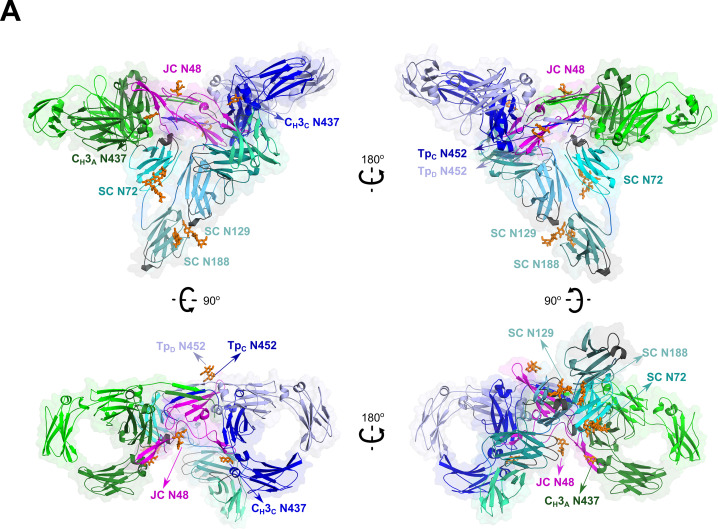 Figure 2—figure supplement 4.