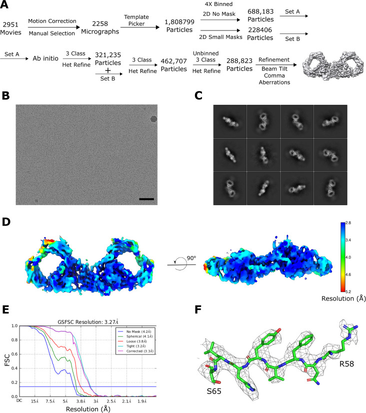 Figure 5—figure supplement 1.