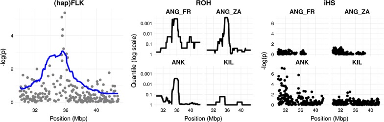 Fig. 2