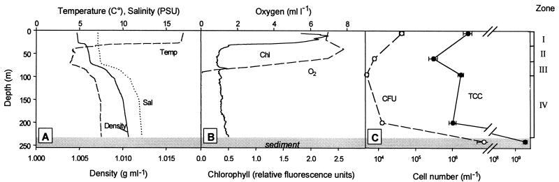 FIG. 1.