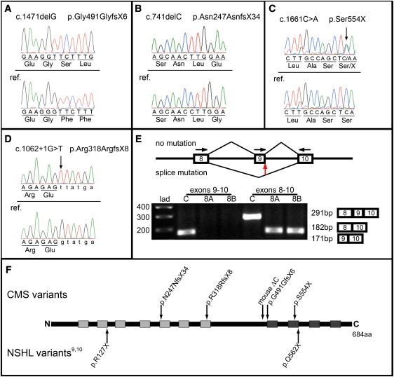 Figure 2