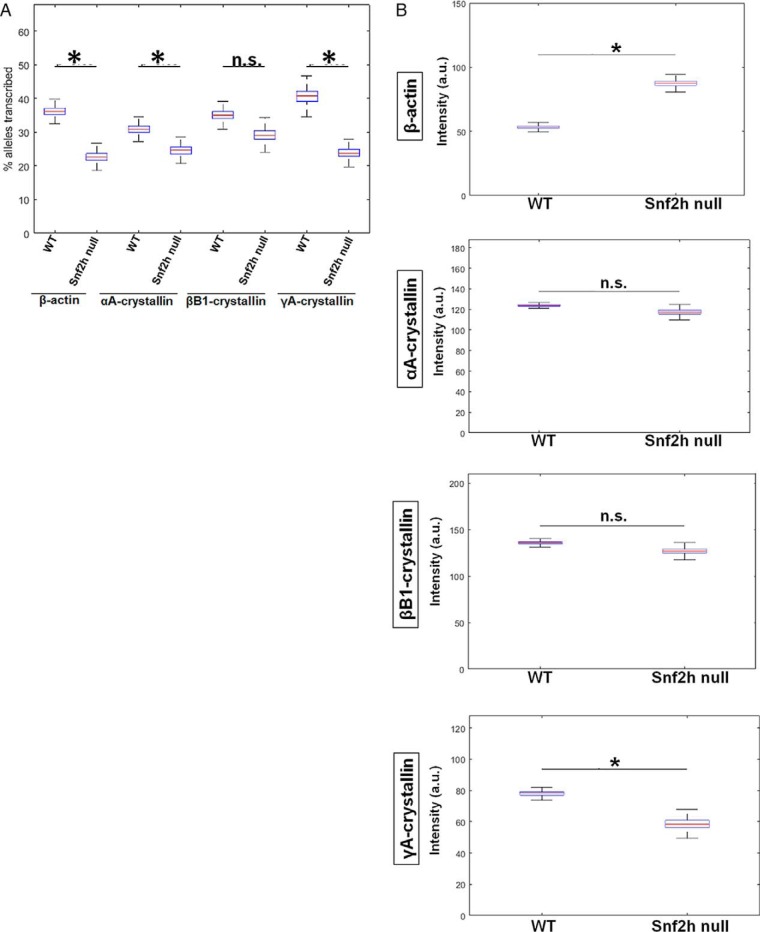 Figure 10.