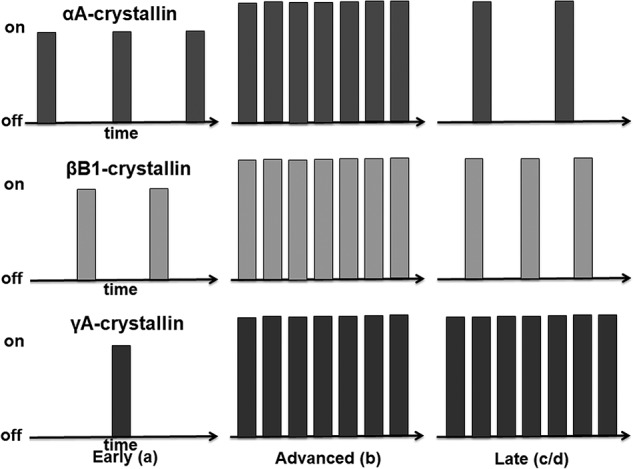 Figure 11.