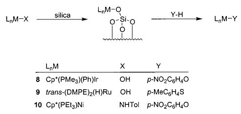 Scheme 5