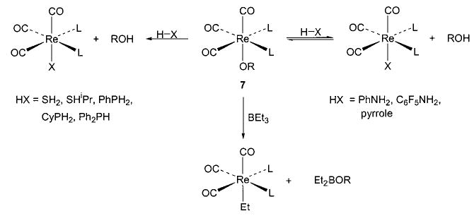 Scheme 4