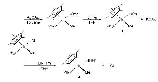 Scheme 3