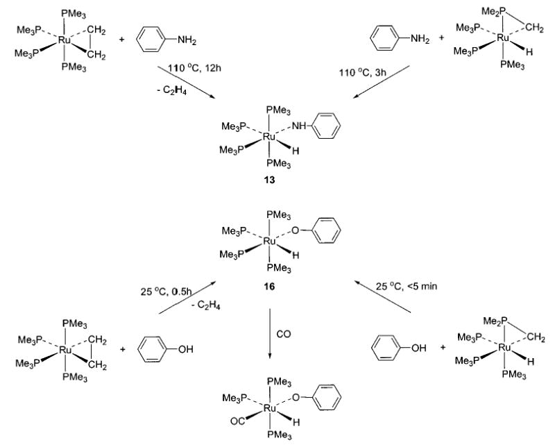 Scheme 6