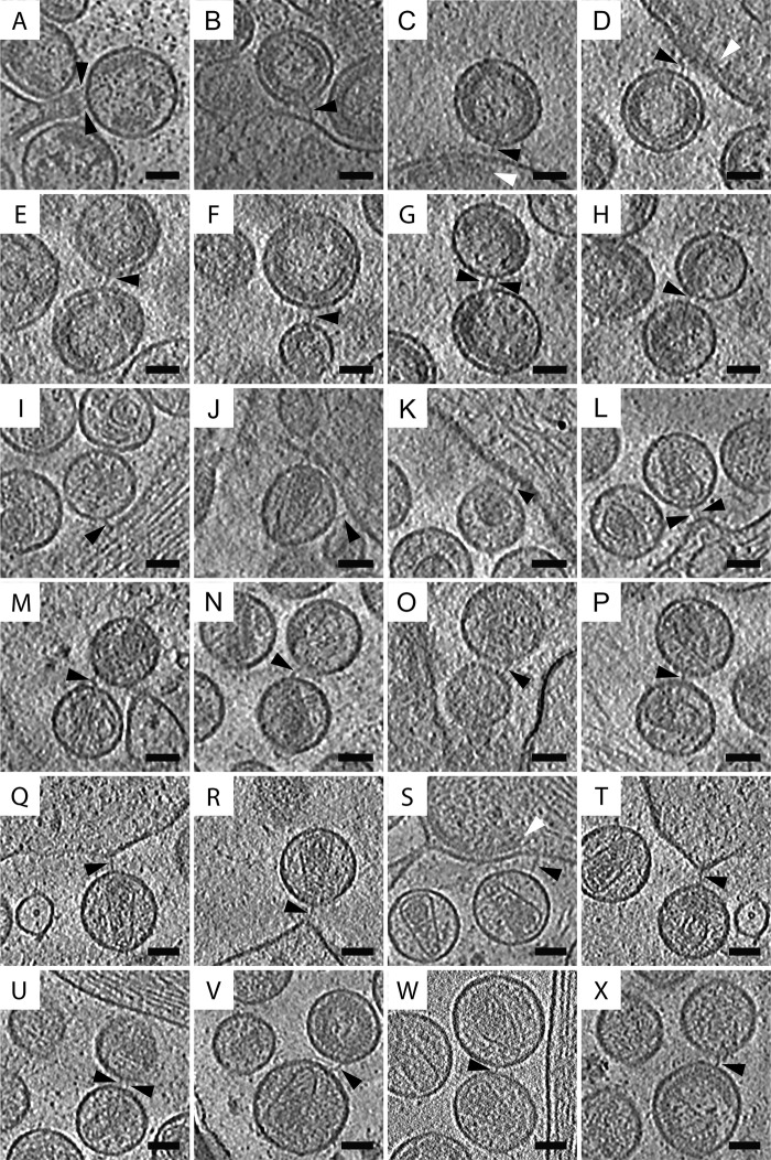 FIG 2