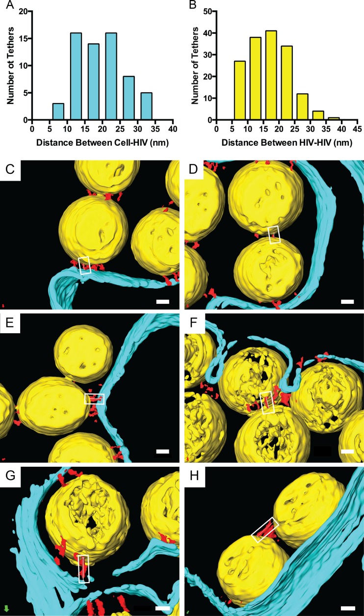 FIG 8