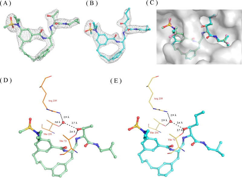 Figure 5.