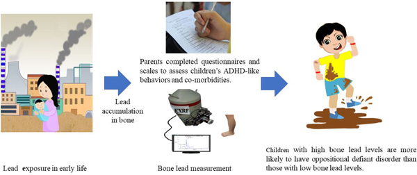 graphic file with name nihms-1618063-f0001.jpg