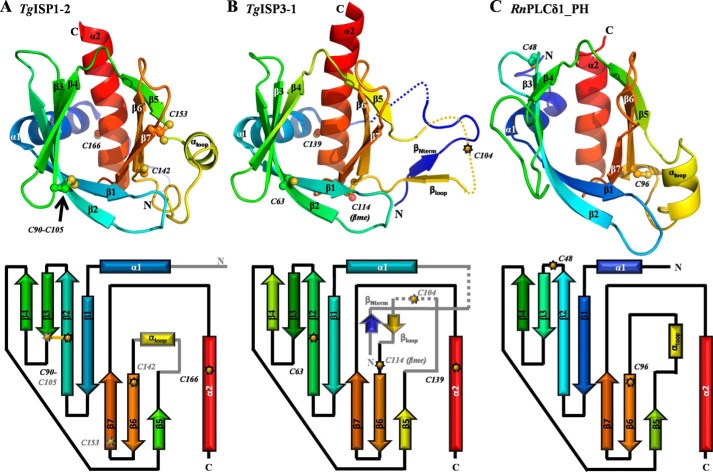 FIGURE 3.