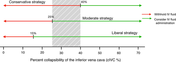 Figure #4: