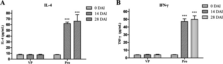 Fig. 11