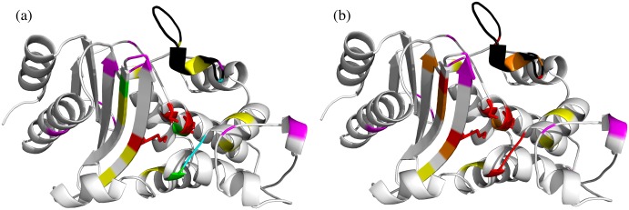 Fig 10