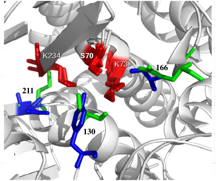 Fig 3