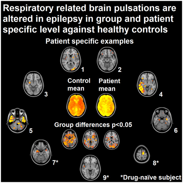 Graphical Abstract