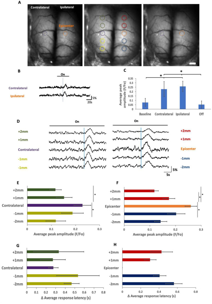 Fig. 6