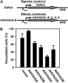 Figure 9.