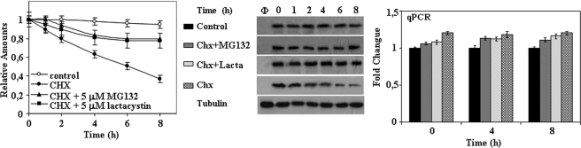 FIGURE 10.