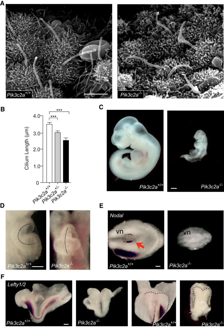 Figure 6