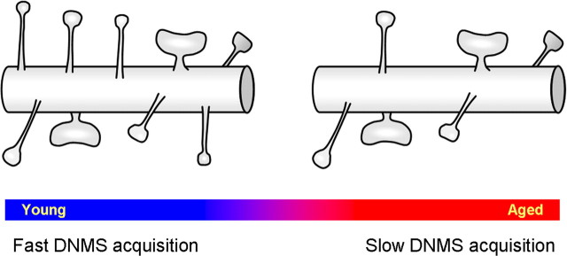 Figure 9.