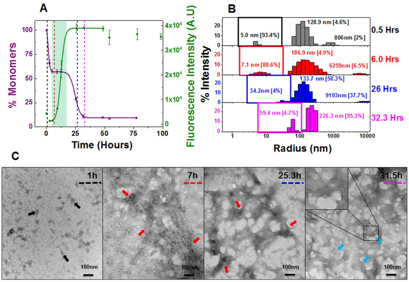 Figure 3: