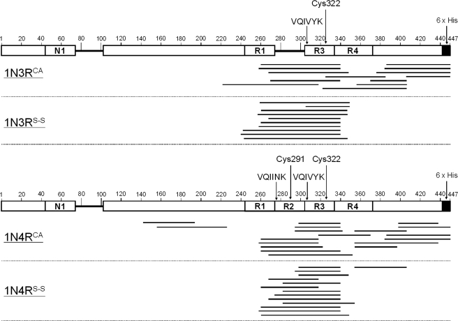 FIGURE 3.