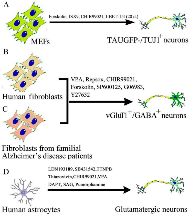 Figure 2