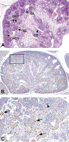 Figure 10.