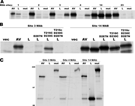 FIG. 8.