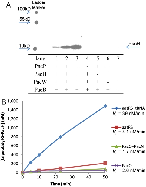 Fig. 5.