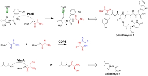 Fig. 6.