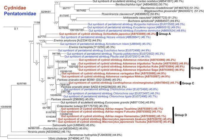 Fig 2