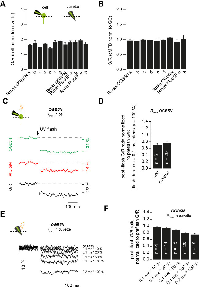 Figure 3—figure supplement 3.