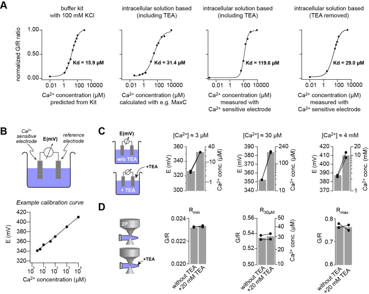 Figure 3—figure supplement 1.