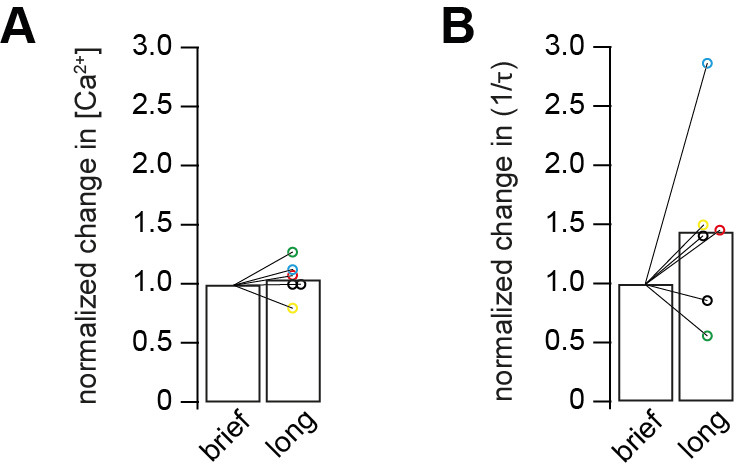 Figure 3—figure supplement 2.