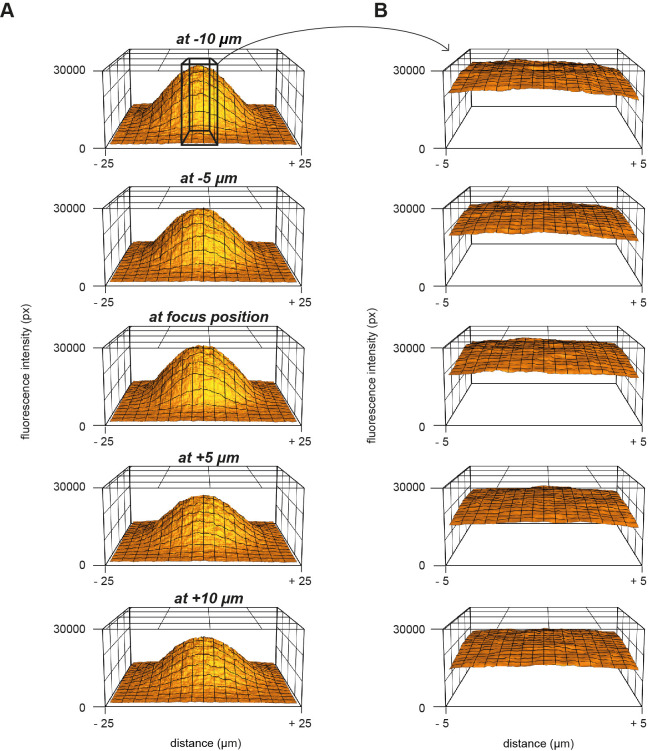 Figure 2—figure supplement 1.