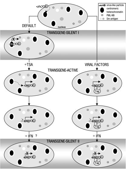 FIG. 6.