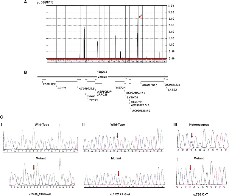 Figure 2