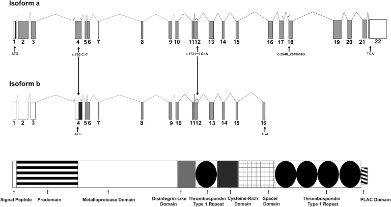 Figure 5